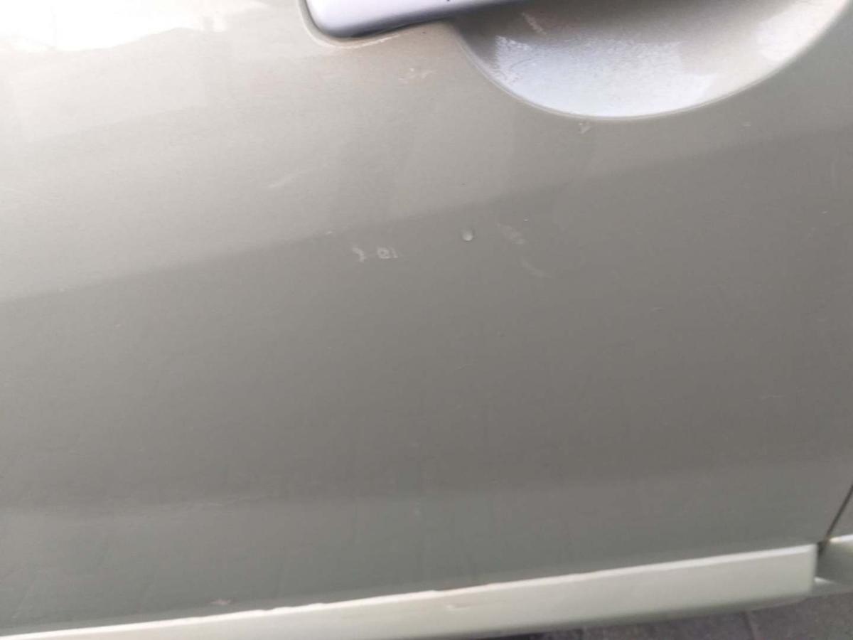 Dacia Sandero original Tür vorn links Beige TEHNL Bj.2008
